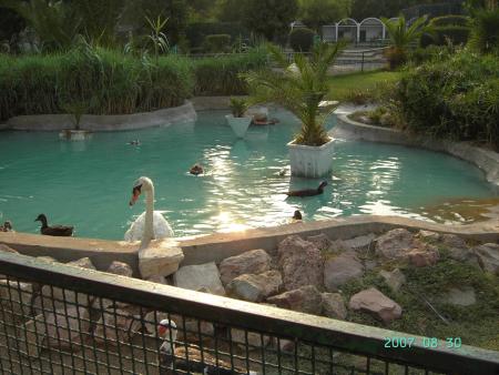 Park Zoologique a Tunis